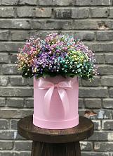 Цветочная композиция из Гипсофила и Розы в шляпной коробке в Кайеркане