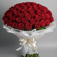 Букет 101 Красная роза Блэк Мэджик #REPLACE_PRED# Кайеркане