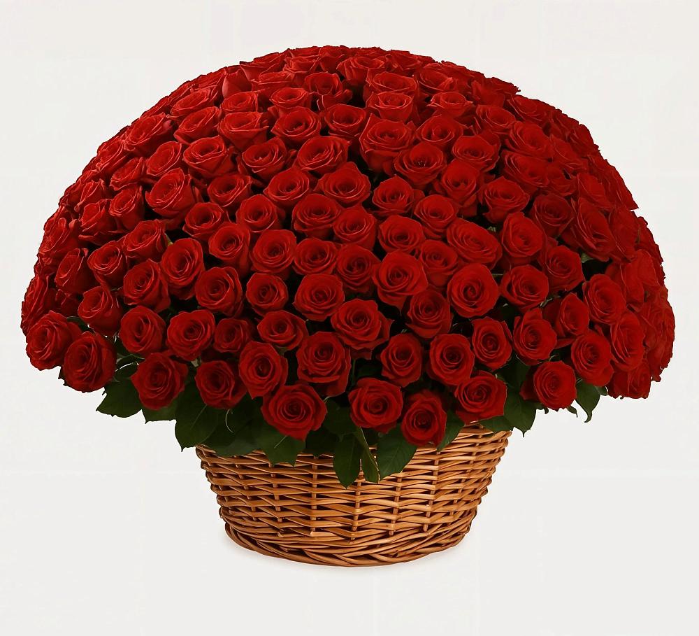 Премиум букет из: Розы в Кайеркане