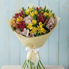 Букет цветов из:  Альстромерии в Кайеркане