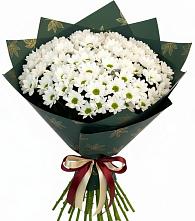 Букет цветов из:  Хризантемы #REPLACE_PRED# Кайеркане