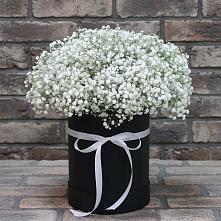 Цветочная композиция из Гипсофила в шляпной коробке #REPLACE_PRED# Кайеркане