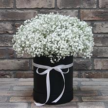 Цветочная композиция из Гипсофила в шляпной коробке в Кайеркане