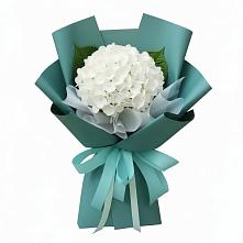 Букет цветов из:  Гортензия в Кайеркане